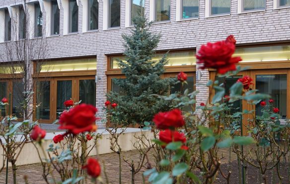 Während im Innenhof des Hospitalhofs noch die Rosen blühen, kündigt der Weihnachtsbaum bei der Herbstsynode schon den Advent an.