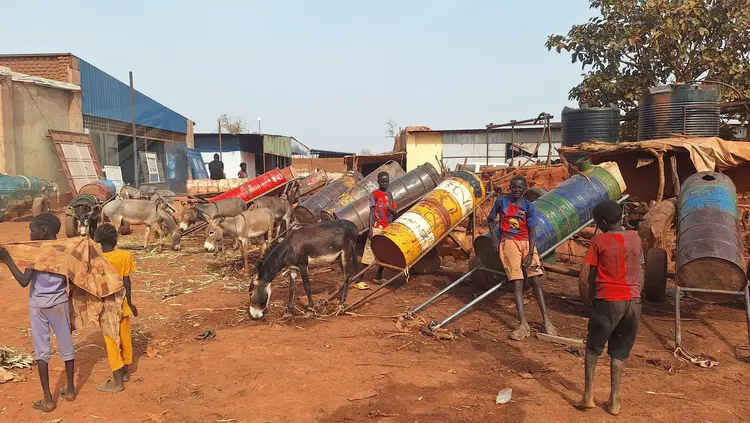 Nachdem die Infratstruktur weitgehend zerstört wurde, ist Wasser extrem teuer geworden und erreicht die Schule in Port Sudan nur per Eselkarren.