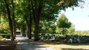 Friedhof St. Peter in Bietigheim-Bissingen