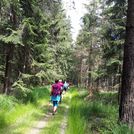 Nationalpark Schwarzwald