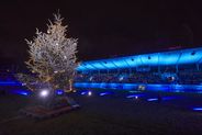 Weihnachtssingen: Atmosphäre im GAZi-Stadion
